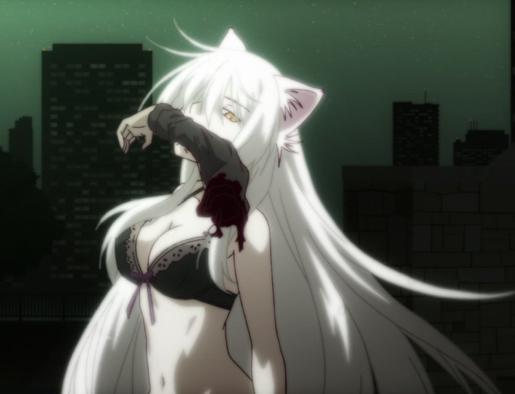 Cat Story Black Chapter Nekomonogatari: Kuro