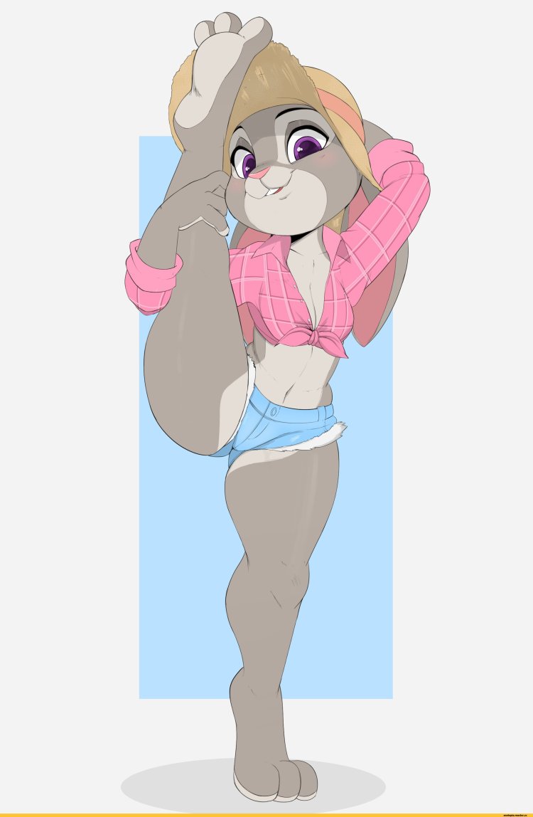 Judy Hopps Bunny