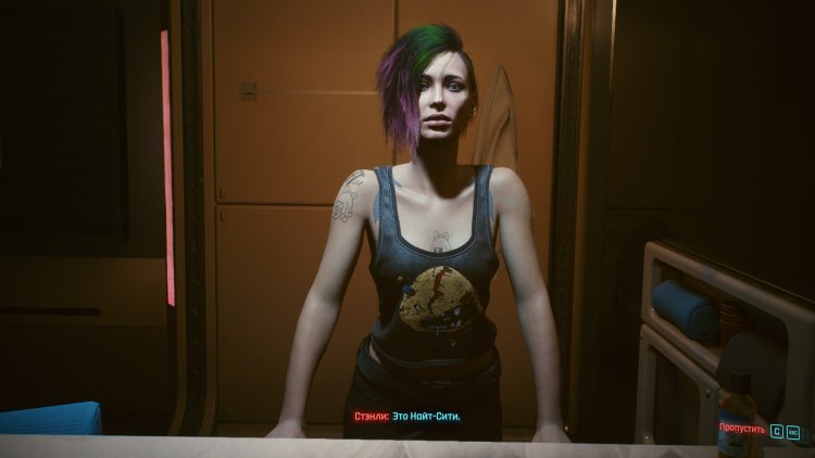 Cyberpunk 2077 panam palmer and vee