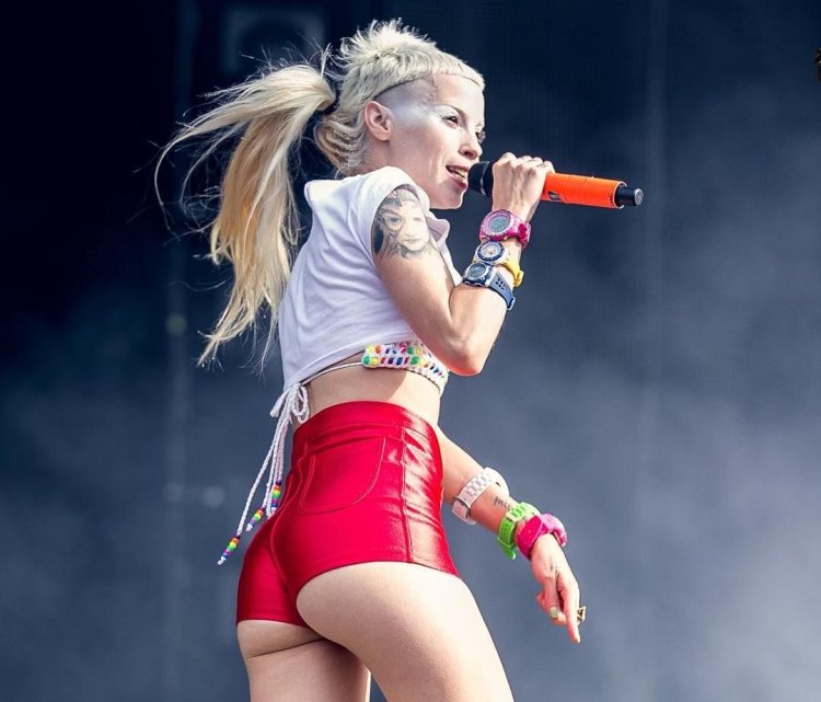 Die antwoord soloist