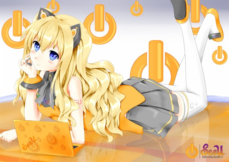 Sv01 SEEU