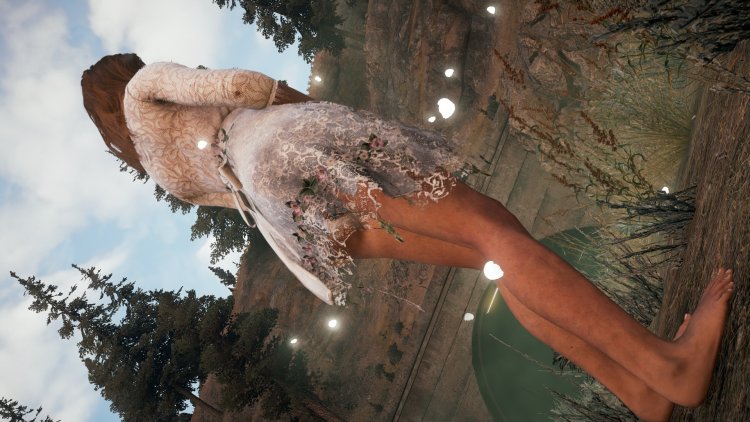 Far Cry 5 Vera briefs