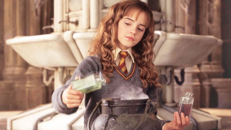 Hermione Granger Chamber of Secrets