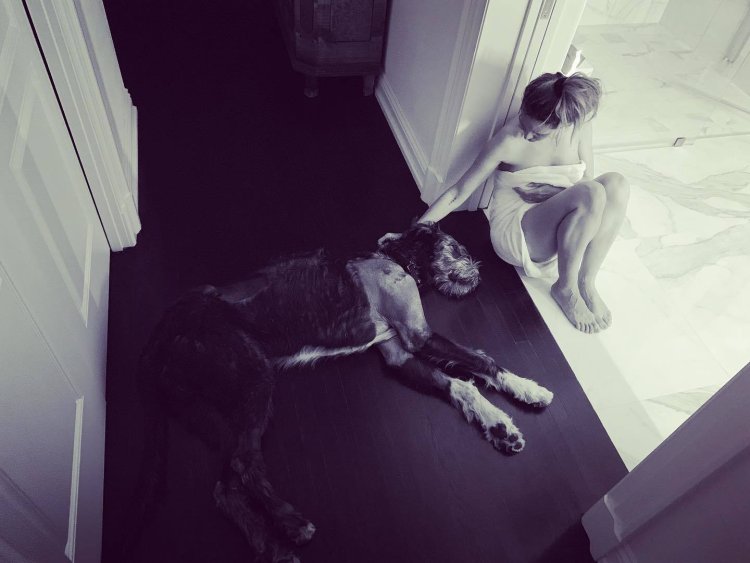 Viking Barbie Emily Knight