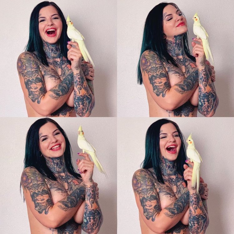 Become a tattoo model