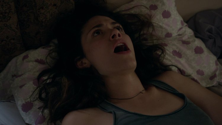 Shameless bed scene Sasha Alexander