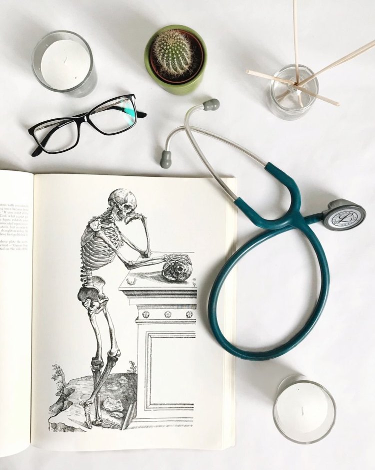 Doctor Aesthetics Profession