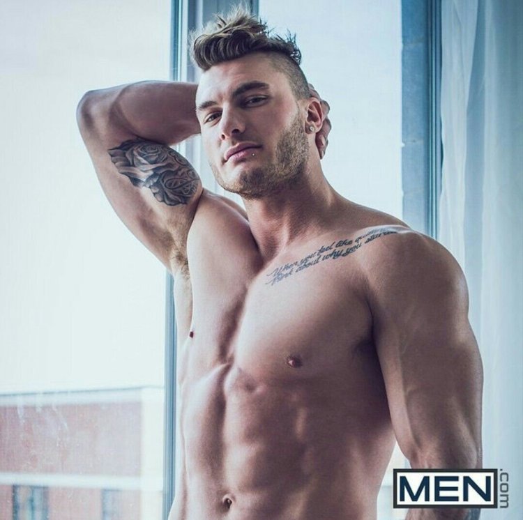 William Seed Passive