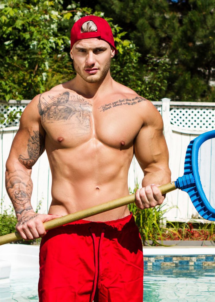 William Seed, Thyle Knoxx trainer