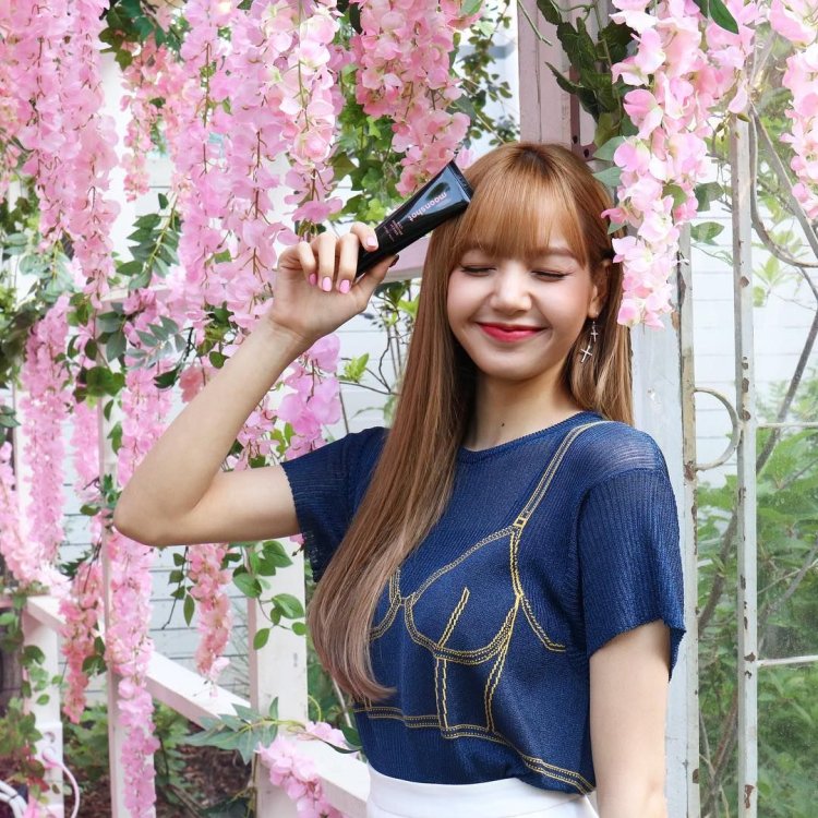 Black Pink members fox