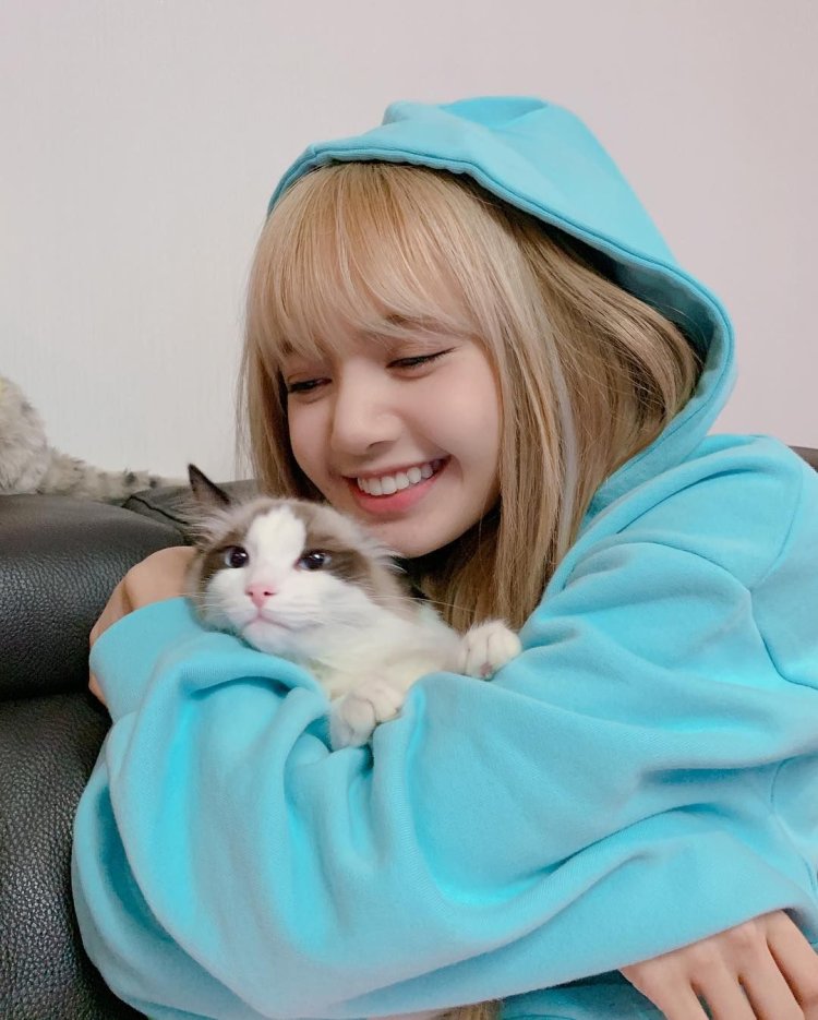 Lalisa Manoban cute