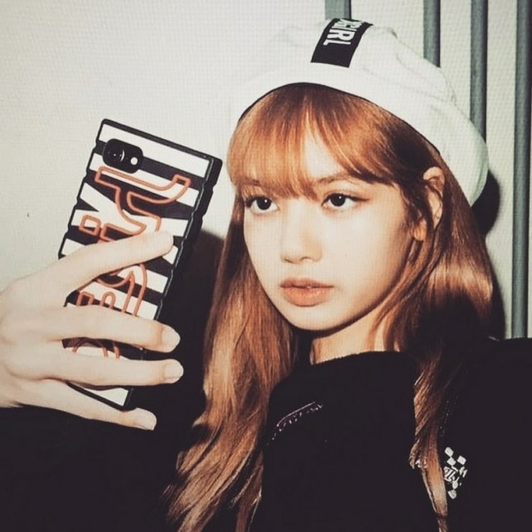 Blackpink fox aesthetic