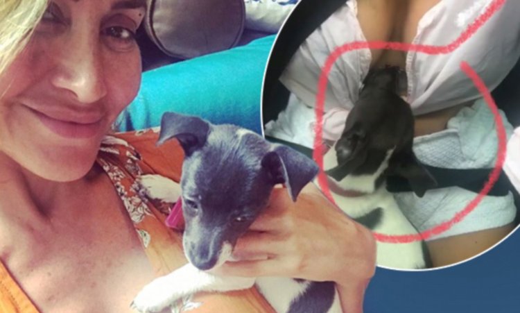 Lady Breastfeeding Puppy