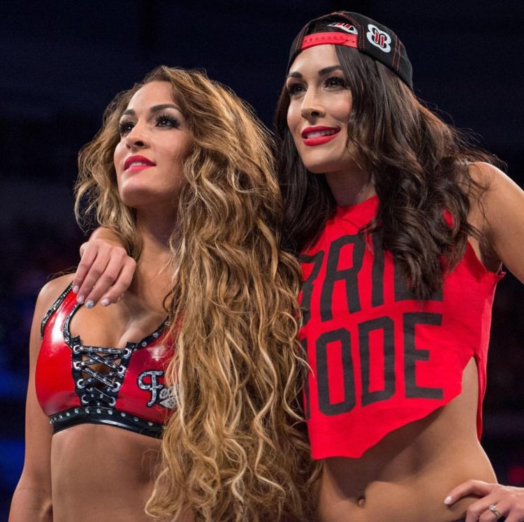 WWE the Bella Twins