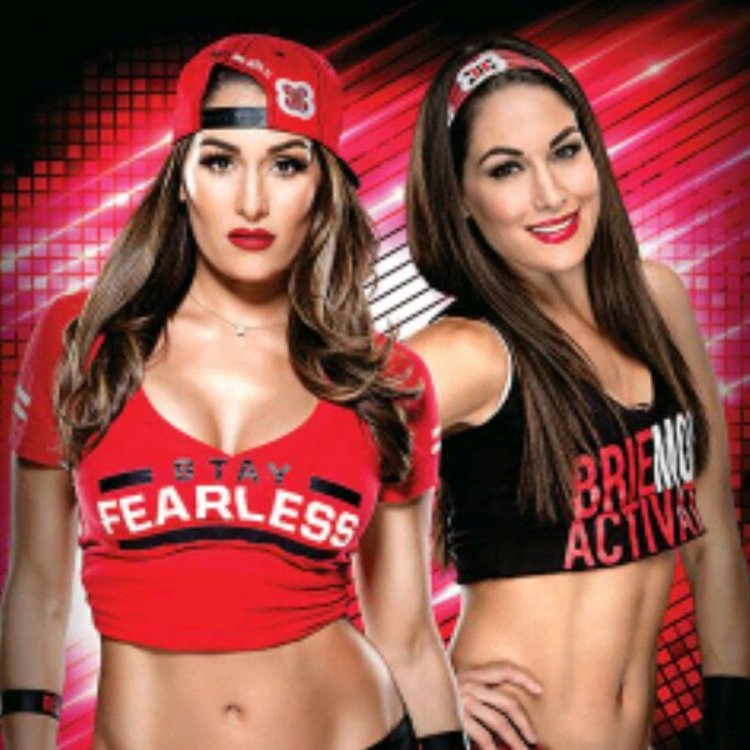 Nikki Bella and Brie Bella