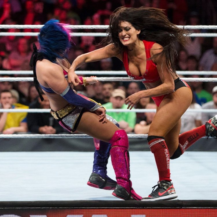 Nikki bella wrestling