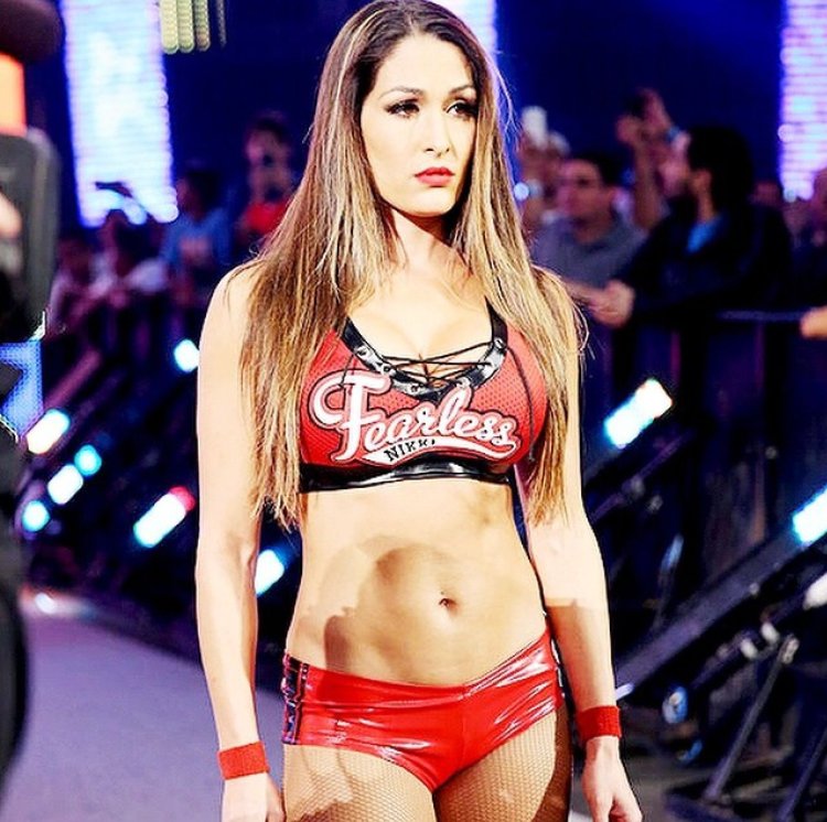 Nikki bella 2014