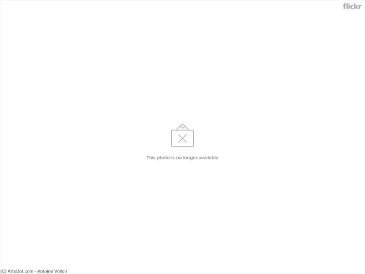 Brandi Love is on my Side Lyrics