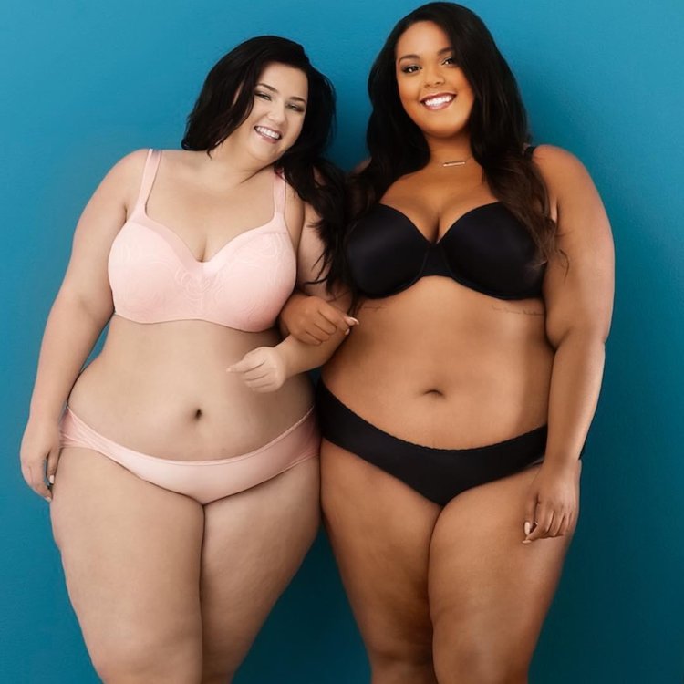 Ashleigh Dunn Plus Size