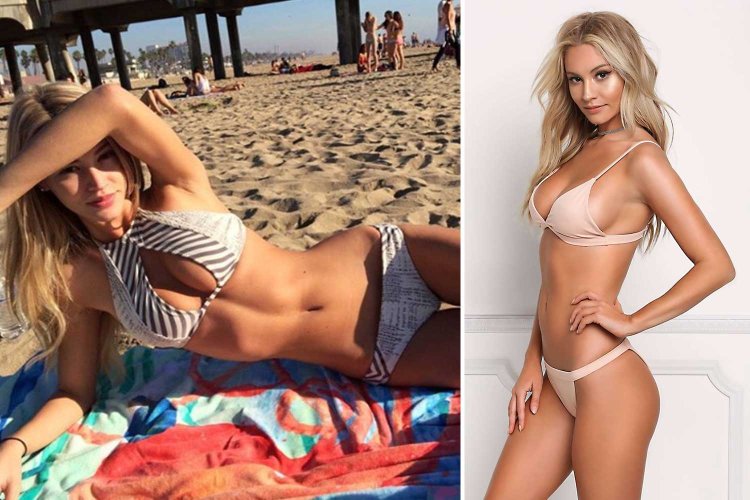 Briana Holly lingerie