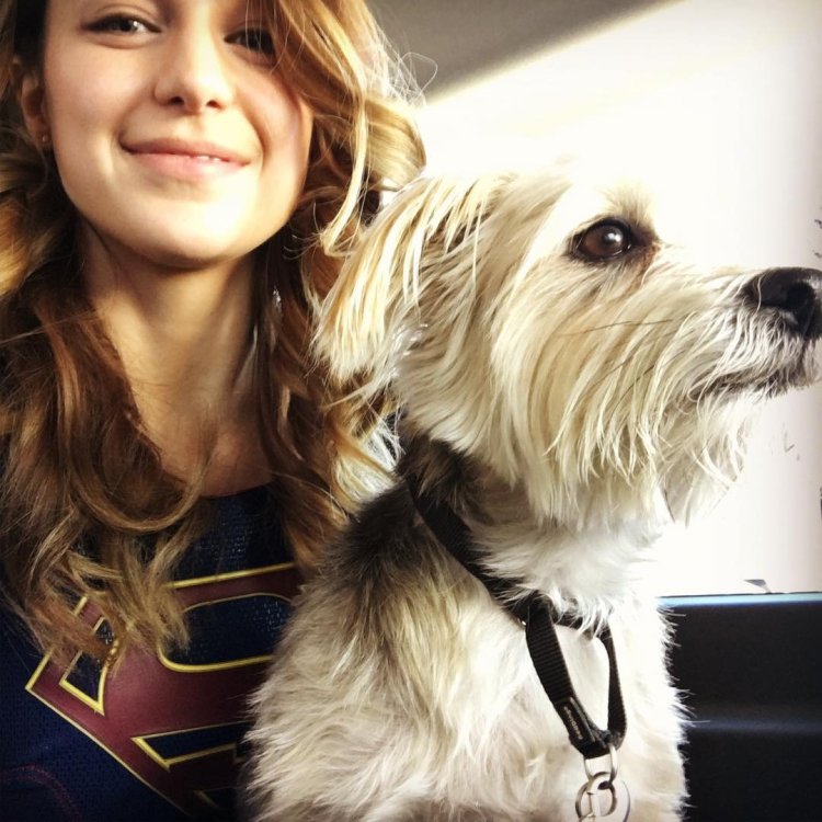 Melissa Benoist selfie