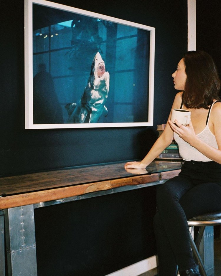 Natalie Dreyfuss photo naked