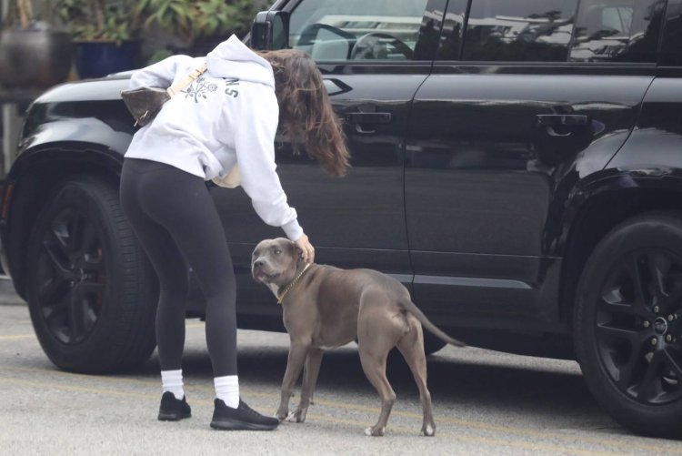 Ana de Armas May 24, 2022 movies