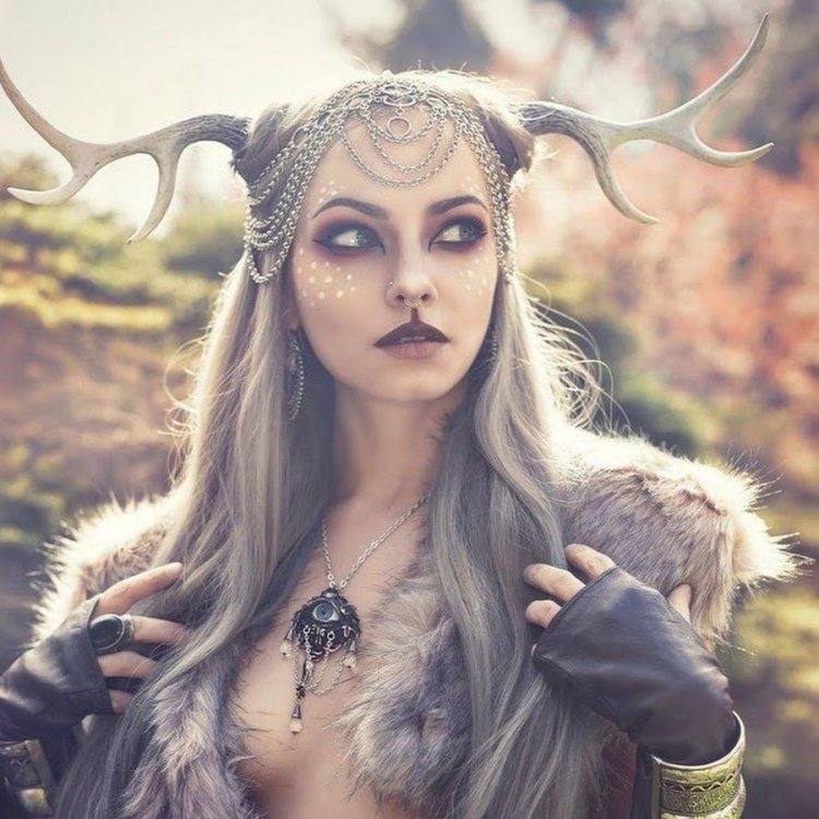 Cosplay Viking warrior