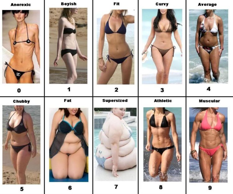 Female figure types funny