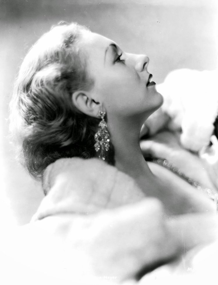 BPW shock absorber 295x430