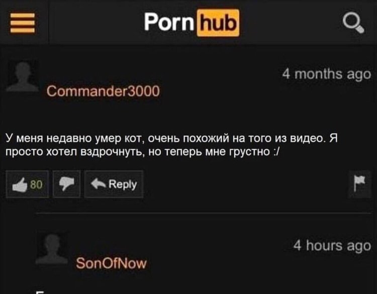 Funny comments on pornhub