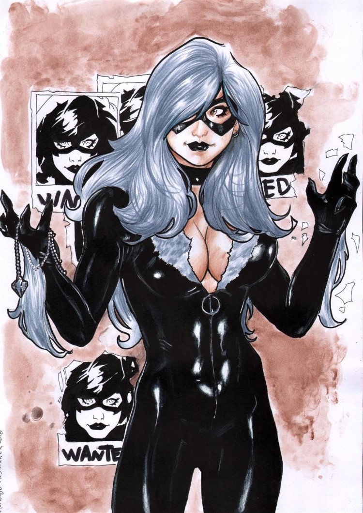 Felicia Hardy Spiderman