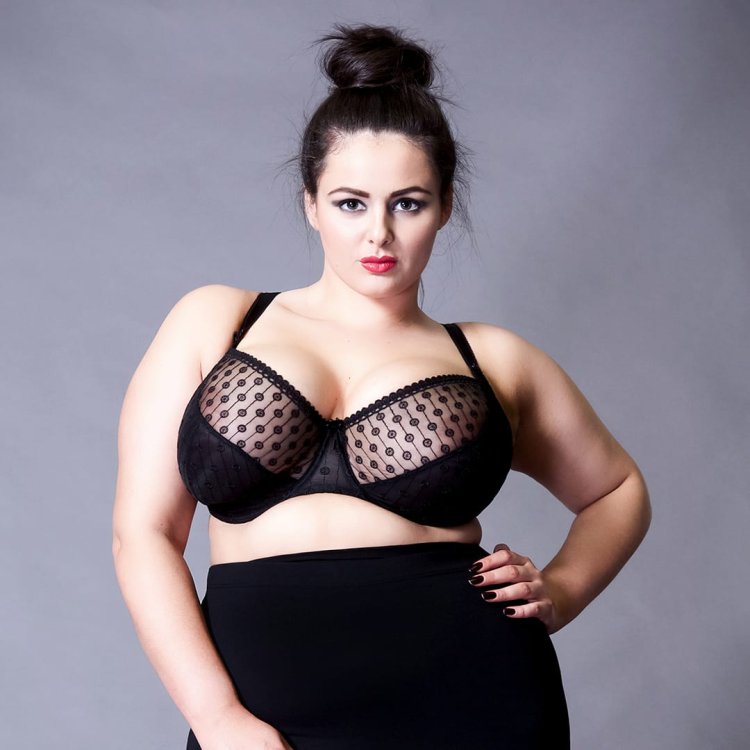 Sophia Adams plus size