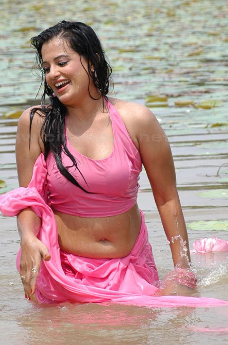 Wet Saree actress