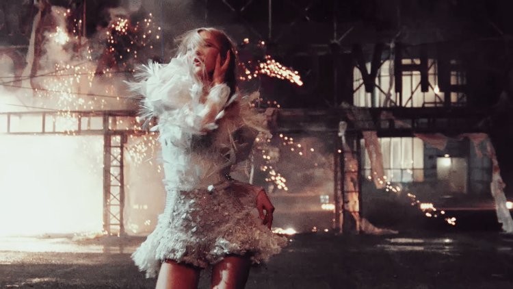 Black Pink Rose Solo on the ground