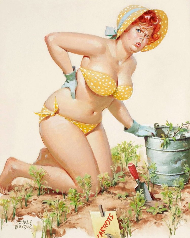 Artist Dwayne Bryers BBW Hilda