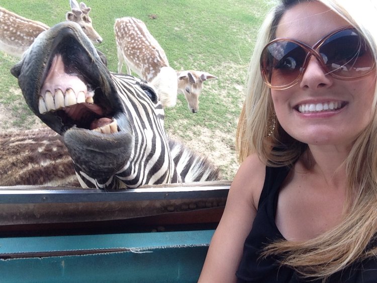 The funniest selfies