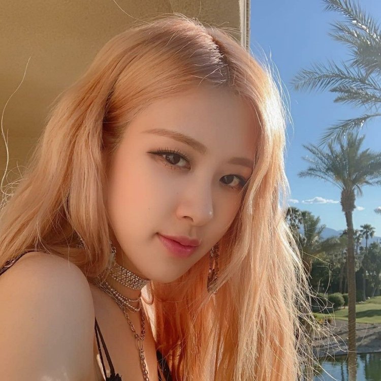 Rosé Black Pink