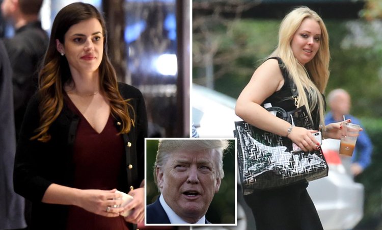 Tiffany trump chest