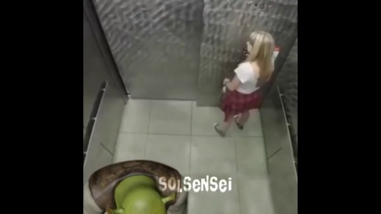 Shrek twerk