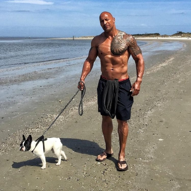 Dwayne Johnson with a bulldog