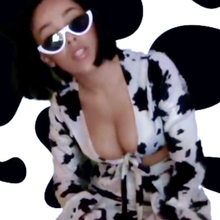 Doja Cat muu