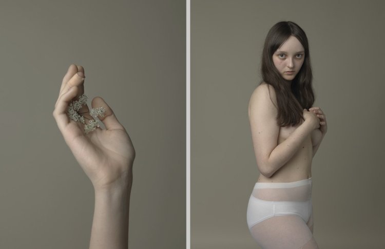 Human reference photo