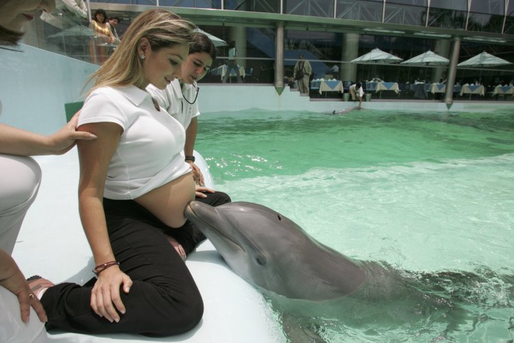 Girl and dolphin