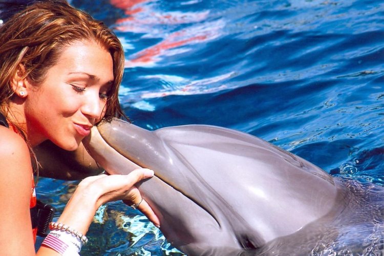 Swimming with dolphins