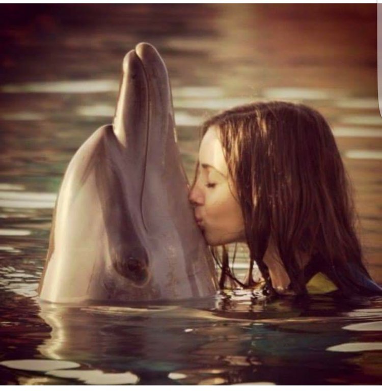 Girl and dolphin