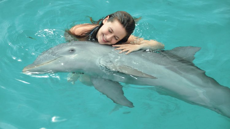 Beautiful girl with dolphins