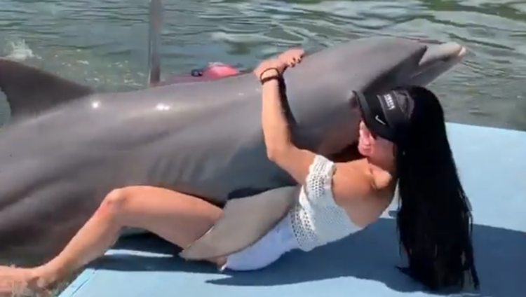Girl and Dolphin pron