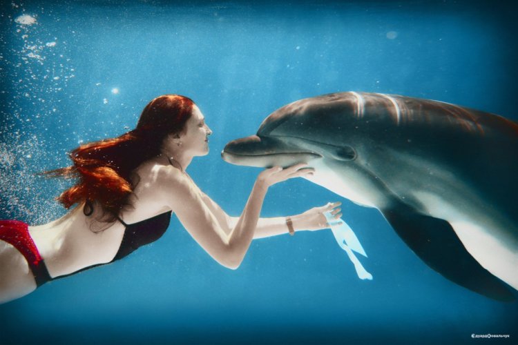 Girl swims with dolphins