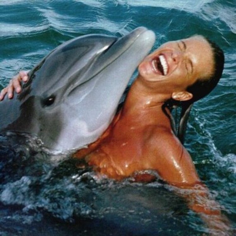 Swimming with dolphins